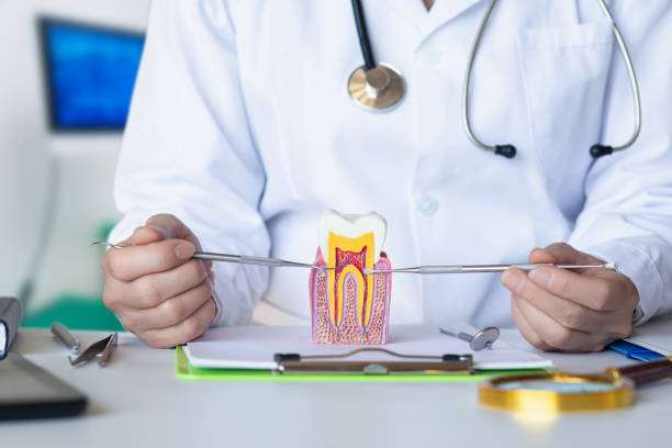 Best Emergency Dentist for Knocked-Out Tooth in Geronimo, OK